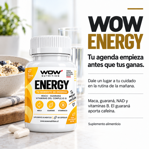 WOW energy · Tu rutina diaria