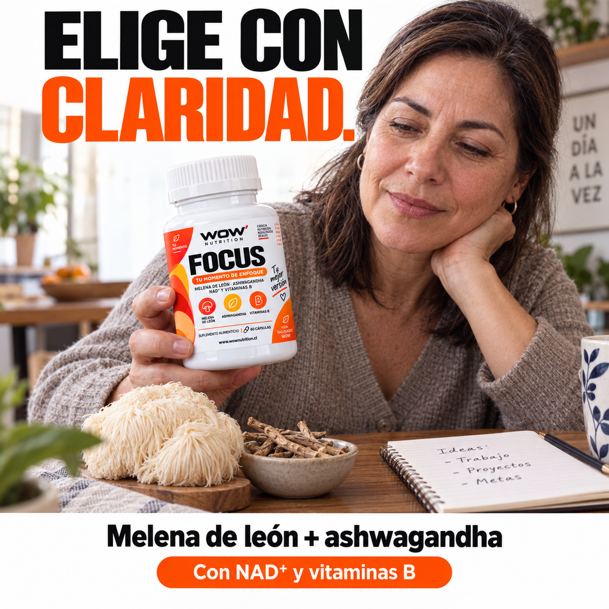 WOW focus · Ingredientes