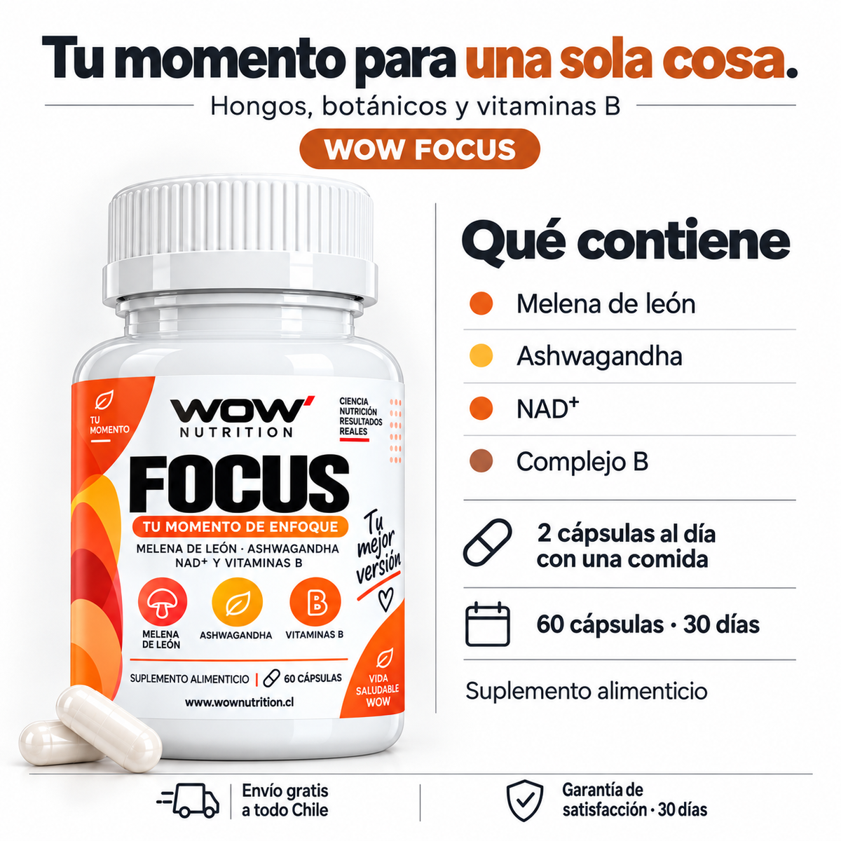 WOW Focus