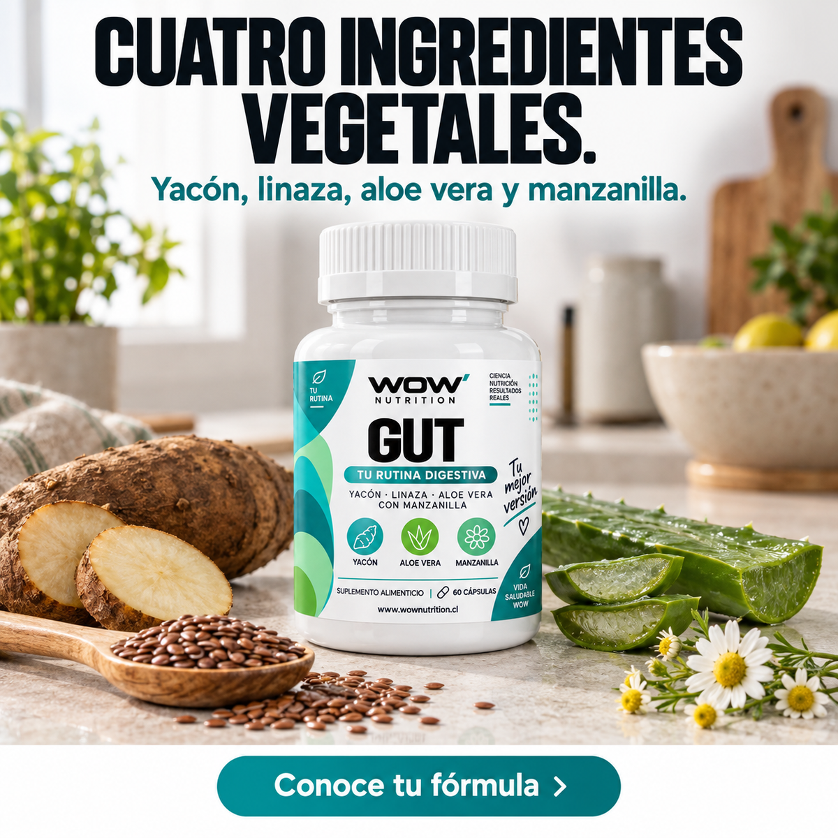 Gut: Conoce los cuatro ingredientes.