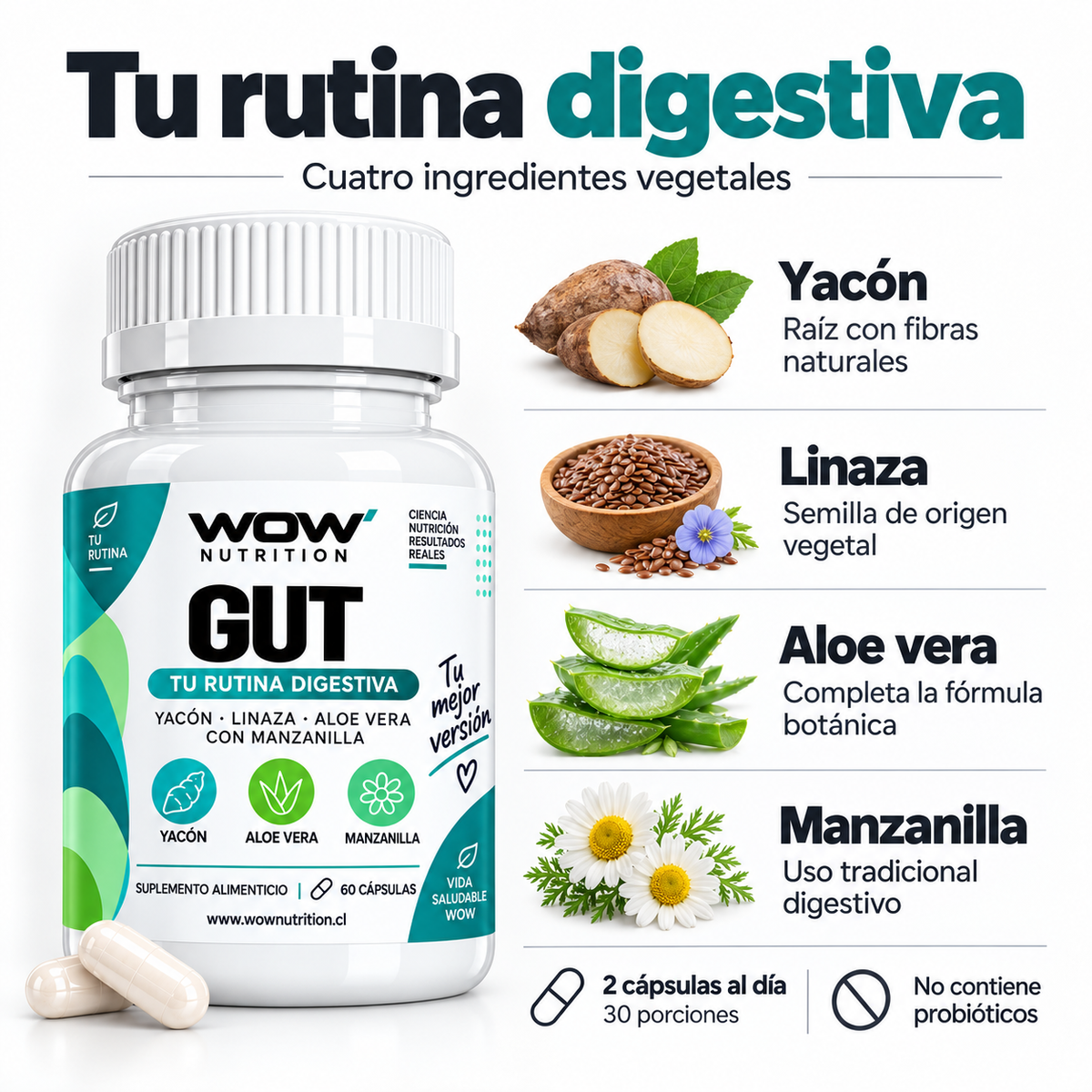WOW gut: frasco, ingredientes y explicación de la fórmula.